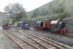 There is a good line-up of locos on display ...