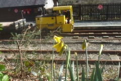 Tuesday, 1.3.2022. Gwyl Dewi Sant (St. David's Day). The daffodils have come out (just in time), as Tony shunts with No. 9 ...