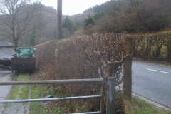 While the storms were going on, our roadside hedges got cut ...