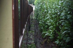 Earlier in the day, Stevie had trimmed the churchyard hedge to avoid the Fireman in No. 7 receiving hourly cold showers!