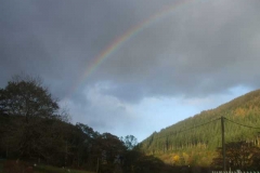 Wednesday, 3.11.2021. A pot of gold near the station in Corris?