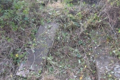 … and the slope down the bank below has been cleared of vegetation until the gnats won!