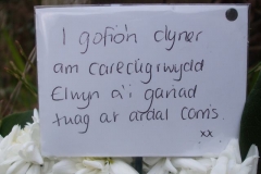 … the dedication approximately reading in English – “In memory of the tenderness and love Elwyn gave towards the Corris area.”
