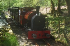 ... and later, with change of driver, the train heads north through Rock Cutting towards Corris.