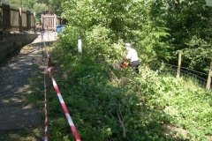 During all this, Steve was noisily tackling the undergrowth – despite record high temperatures!