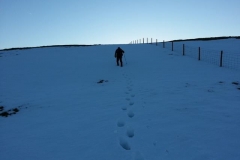 Nearing the top of Pumlumon Fawr with a surprising amount of snow.