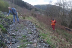 … and scrub trees have largely been cleared from the footprint of the new embankment towards Pont y Goedwig.