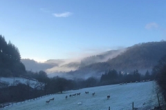 Monday, 17.1.2022. The sun, frost, mist and clear blue skies on the Aberllefenni approach to Corris must surely be worth a photo