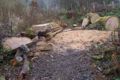 Southern Extension. Pont y Goedwig Deviation Project. Sunday, 17.11.2019. The timber specialists have been back to slice the oak tree felled earlier in the year, into useful sections.
