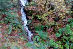 ...which always give a wonderful sight and sound of rushing water.