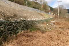 Following a request, this is the view of the embankment from the bottom, where we assembled and filled the gabions 4 years ago!