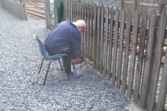 … and now that the sun is shining, Phil continues sealing the fence timber.