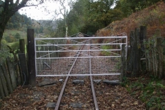 … when he is not painting the newly re-hung gate at Maes y Llan, white. The gate is here as a “last resort” to stop sheep getting into Corris – where they enjoy the flowers!