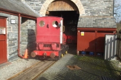 Friday, 22.2.2019. No. 5 suns himself outside the shed to make engine starting easier …
