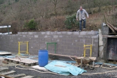 … so that it can be put in the pots of the concrete block wall – but some doesn’t want to stay there!