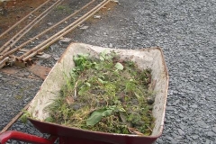 … and weeding of the platforms.