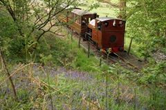 … and finally, No. 7 on a Down train, once more amongst the bluebells.