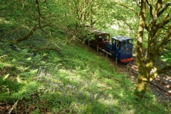 Sunday, 26.5.2019 – Gala Day. A couple of hours spent observing passing trains included No. 6 on a Down train amongst the bluebells …