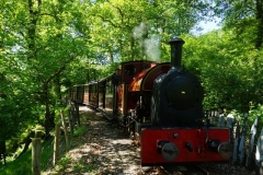 Trefor takes charge as No. 7 and train heads through the Spinney ...