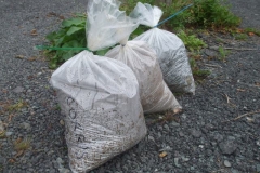 Southern Extension. Pont y Goedwig Deviation Project. Tuesday, 24.8.2021. Soil samples have been bagged up, ready for testing as part of our record keeping.