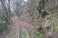 Friday, 27.1.2017. Work has started on cutting back tree branches identified as risky to the railway …