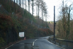 Southern Extension Project. Monday, 3.12.2018. The trees through the gorge above Pont Evans are disappearing, but those that are left will be the most difficult to remove safely!