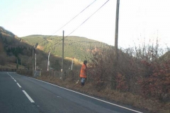 Sunday, 1.2.15. Richard is busy, continuing to cut back the roadside hedge below Maespoeth.