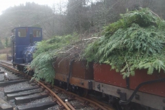 Thursday, 27.1.2023. Waggons are loaded with debris arising from the tree removal, for disposal in due course ...