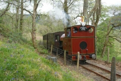 A down service train passes the bluebells in “The Spinney”.