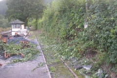 Tony has done a good job, trimming the railway side of the roadside hedge …