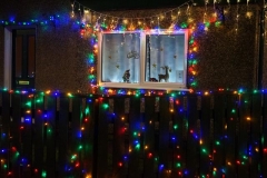 Tuesday, 24.12.2019. Over the run-up to Christmas, and for the 12 nights afterwards, Corris residents and businesses have been encouraged to display Christmas advent light scenes in their windows, one for each night star