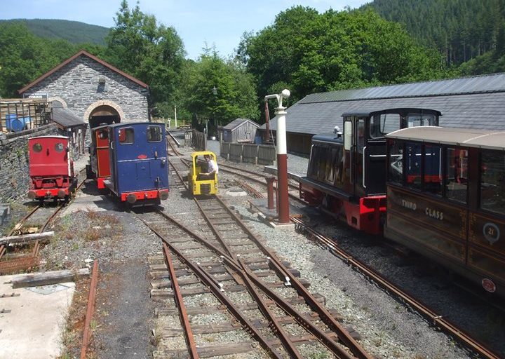 All locos in the yard at Maespoeth Junction